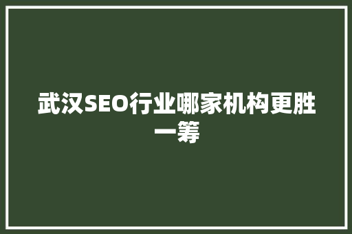 武汉SEO行业哪家机构更胜一筹