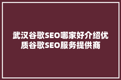 武汉谷歌SEO哪家好介绍优质谷歌SEO服务提供商 电脑故障维修