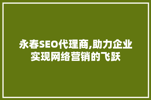 永春SEO代理商,助力企业实现网络营销的飞跃