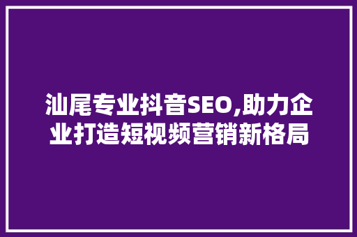 汕尾专业抖音SEO,助力企业打造短视频营销新格局
