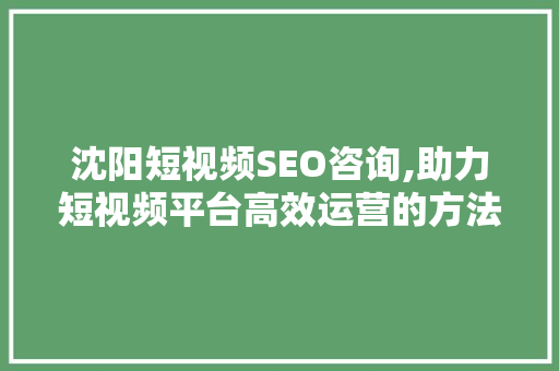 沈阳短视频SEO咨询,助力短视频平台高效运营的方法 沈阳短视频SEO咨询,助力短视频平台高效运营的方法