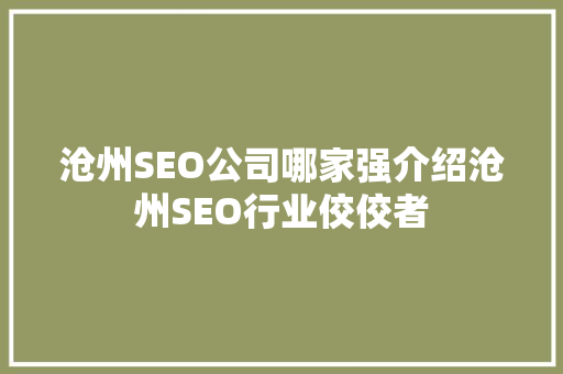 沧州SEO公司哪家强介绍沧州SEO行业佼佼者