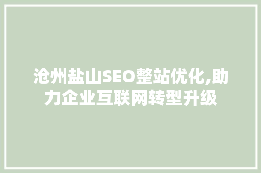 沧州盐山SEO整站优化,助力企业互联网转型升级 沧州盐山SEO整站优化,助力企业互联网转型升级