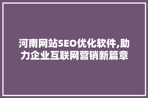 河南网站SEO优化软件,助力企业互联网营销新篇章