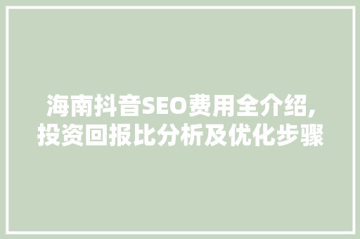 海南抖音SEO费用全介绍,投资回报比分析及优化步骤