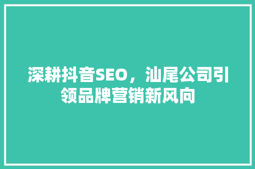 深耕抖音SEO，汕尾公司引领品牌营销新风向