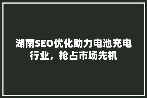 湖南SEO优化助力电池充电行业，抢占市场先机