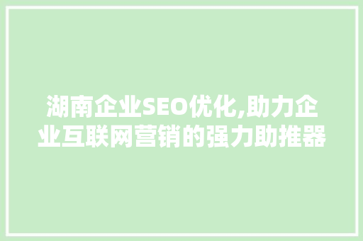 湖南企业SEO优化,助力企业互联网营销的强力助推器
