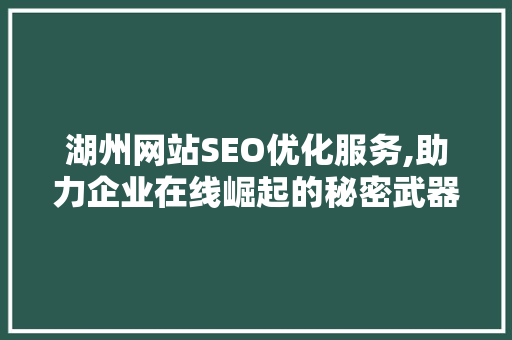 湖州网站SEO优化服务,助力企业在线崛起的秘密武器
