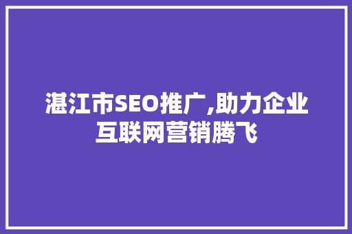 湛江市SEO推广,助力企业互联网营销腾飞