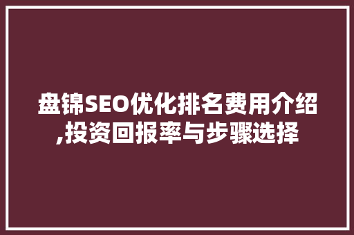 盘锦SEO优化排名费用介绍,投资回报率与步骤选择