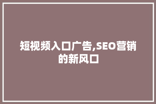 短视频入口广告,SEO营销的新风口 短视频入口广告,SEO营销的新风口