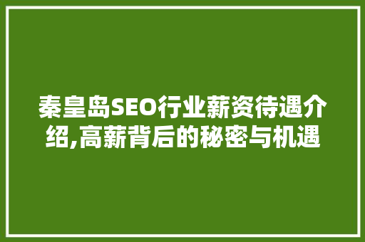秦皇岛SEO行业薪资待遇介绍,高薪背后的秘密与机遇
