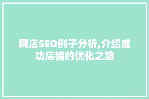 网店SEO例子分析,介绍成功店铺的优化之路