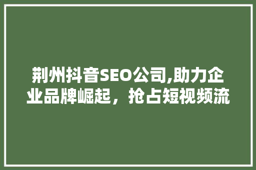 荆州抖音SEO公司,助力企业品牌崛起，抢占短视频流量高地