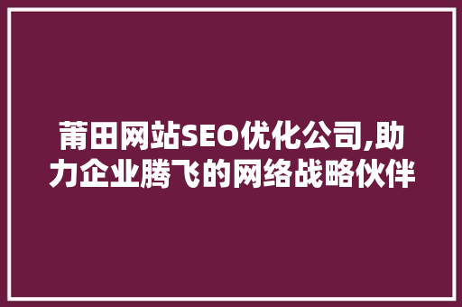 莆田网站SEO优化公司,助力企业腾飞的网络战略伙伴 莆田网站SEO优化公司,助力企业腾飞的网络战略伙伴