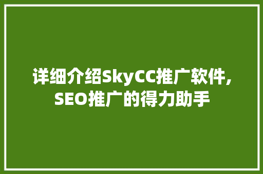 详细介绍SkyCC推广软件,SEO推广的得力助手