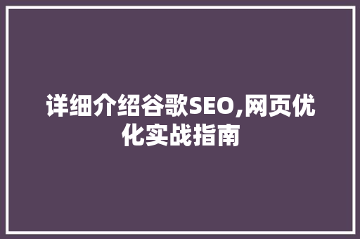 详细介绍谷歌SEO,网页优化实战指南 电脑配置