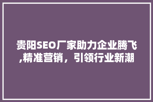 贵阳SEO厂家助力企业腾飞,精准营销，引领行业新潮流
