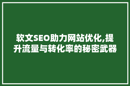 软文SEO助力网站优化,提升流量与转化率的秘密武器
