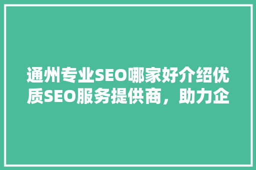 通州专业SEO哪家好介绍优质SEO服务提供商，助力企业网络营销腾飞