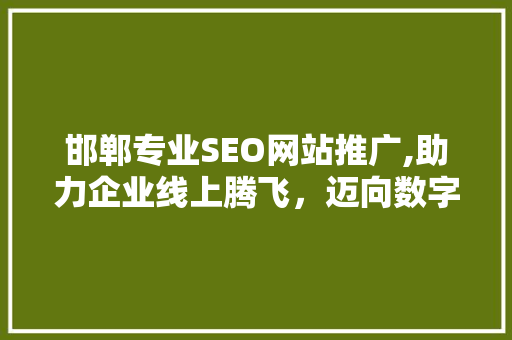 邯郸专业SEO网站推广,助力企业线上腾飞，迈向数字化未来