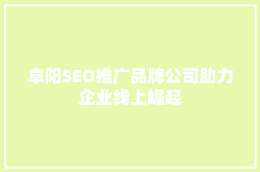 阜阳SEO推广品牌公司助力企业线上崛起