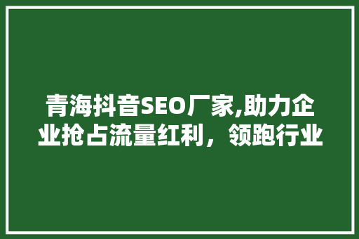 青海抖音SEO厂家,助力企业抢占流量红利，领跑行业！