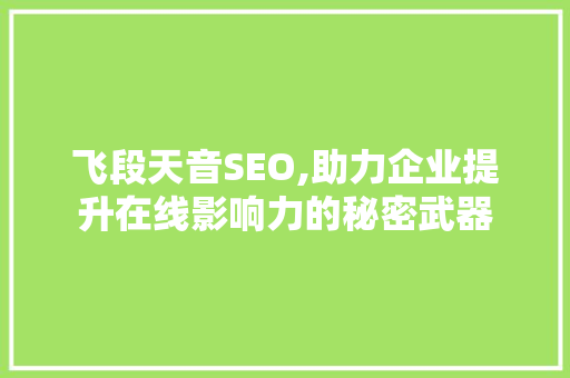 飞段天音SEO,助力企业提升在线影响力的秘密武器