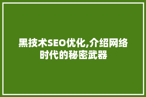黑技术SEO优化,介绍网络时代的秘密武器