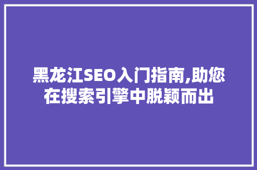 黑龙江SEO入门指南,助您在搜索引擎中脱颖而出