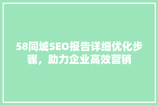 58同城SEO报告详细优化步骤，助力企业高效营销