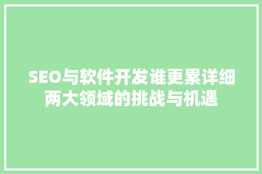 SEO与软件开发谁更累详细两大领域的挑战与机遇