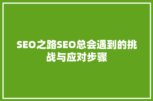 SEO之路SEO总会遇到的挑战与应对步骤