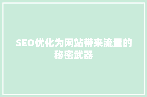 SEO优化为网站带来流量的秘密武器