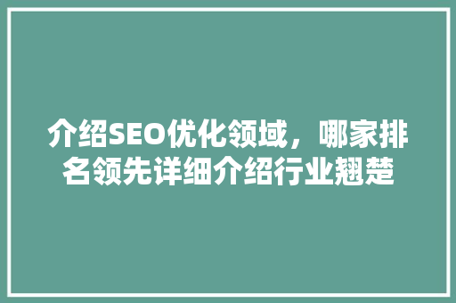 介绍SEO优化领域，哪家排名领先详细介绍行业翘楚
