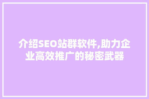 介绍SEO站群软件,助力企业高效推广的秘密武器 电脑故障维修