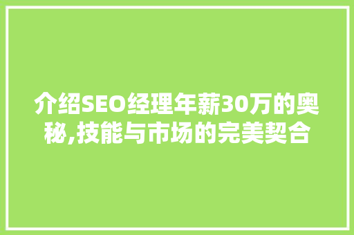 介绍SEO经理年薪30万的奥秘,技能与市场的完美契合