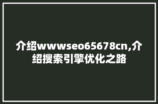 介绍wwwseo65678cn,介绍搜索引擎优化之路