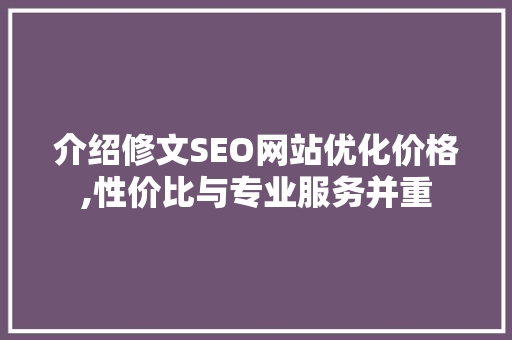 介绍修文SEO网站优化价格,性价比与专业服务并重