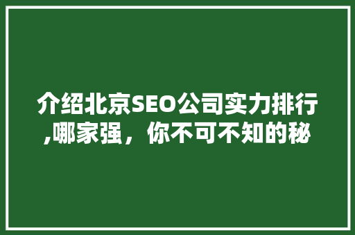 介绍北京SEO公司实力排行,哪家强，你不可不知的秘密！