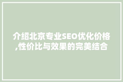 介绍北京专业SEO优化价格,性价比与效果的完美结合 网络技术