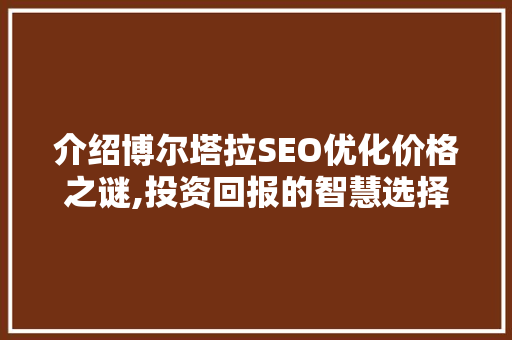 介绍博尔塔拉SEO优化价格之谜,投资回报的智慧选择