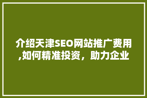 介绍天津SEO网站推广费用,如何精准投资，助力企业腾飞
