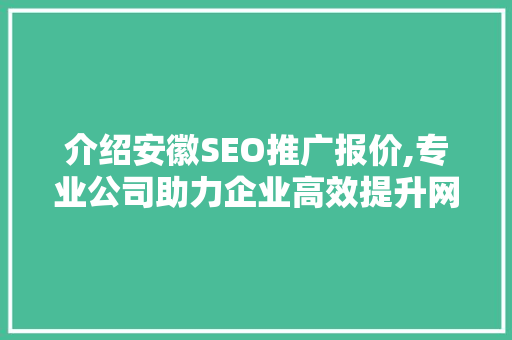 介绍安徽SEO推广报价,专业公司助力企业高效提升网络排名
