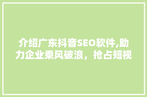 介绍广东抖音SEO软件,助力企业乘风破浪，抢占短视频流量高地