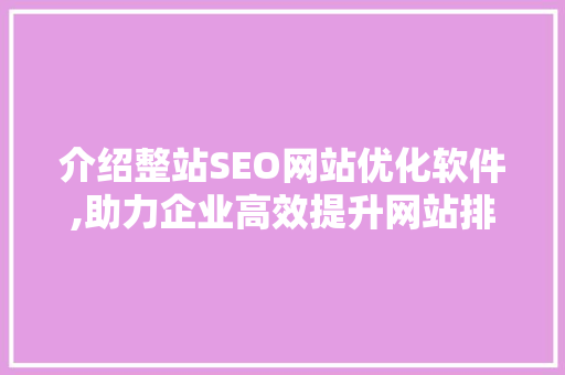 介绍整站SEO网站优化软件,助力企业高效提升网站排名
