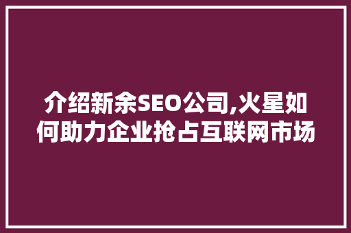 介绍新余SEO公司,火星如何助力企业抢占互联网市场制高点