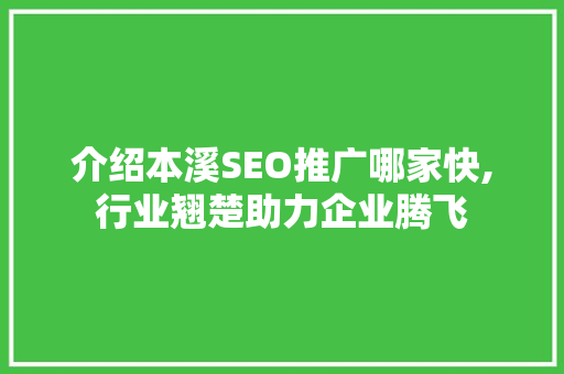 介绍本溪SEO推广哪家快,行业翘楚助力企业腾飞