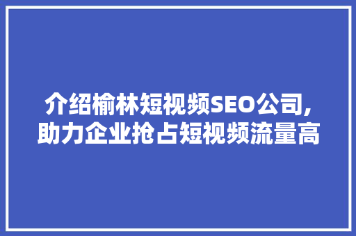 介绍榆林短视频SEO公司,助力企业抢占短视频流量高地